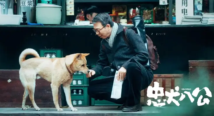 海外看咪咕直播图解